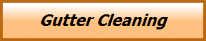 Gutter Cleaning