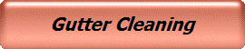 Gutter Cleaning