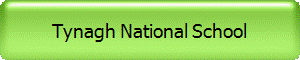 Tynagh National School